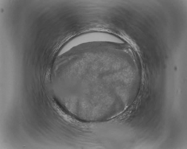 X0000081600009200702051341