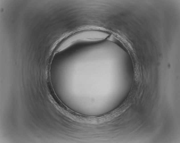 X0000081600015200702051341