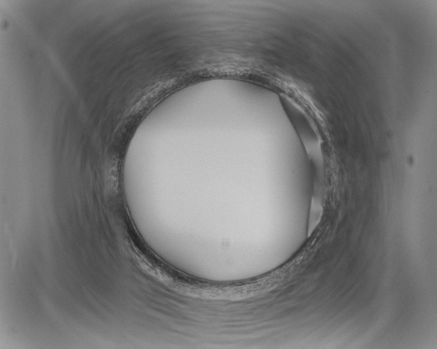 X0000081600017200702051340