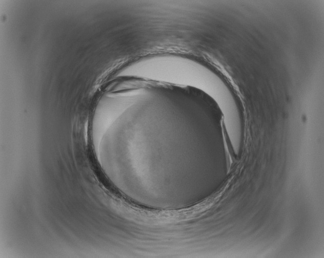 X0000081600019200702051340