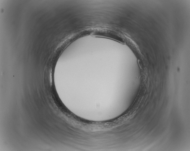 X0000081600020200702051340