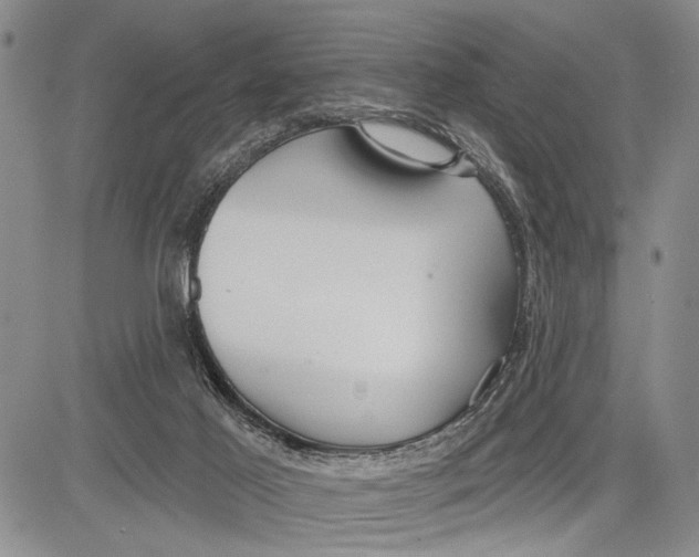 X0000081600021200702051340