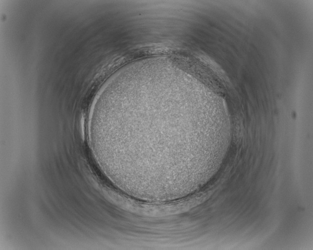 X0000081600022200702051340