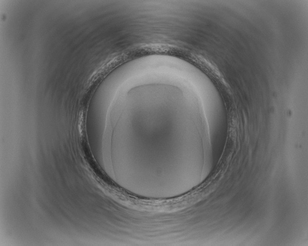 X0000081600023200702051340