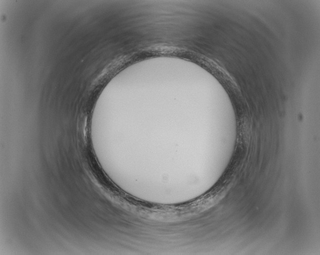 X0000081600024200702051340