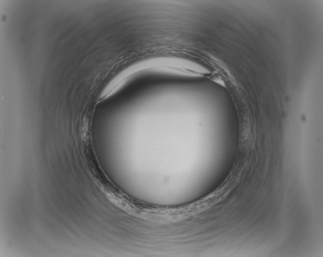 X0000081600025200702051340