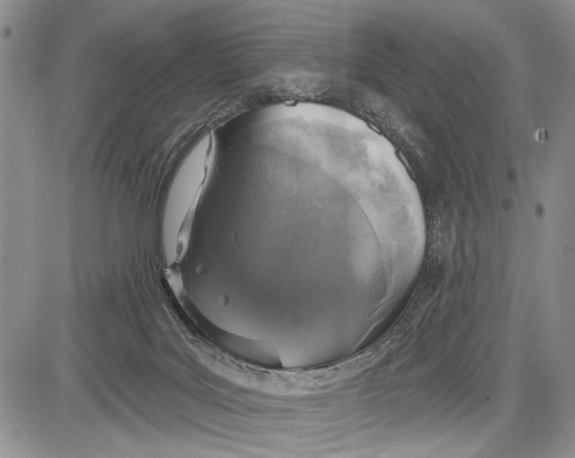 X0000081600027200702051340