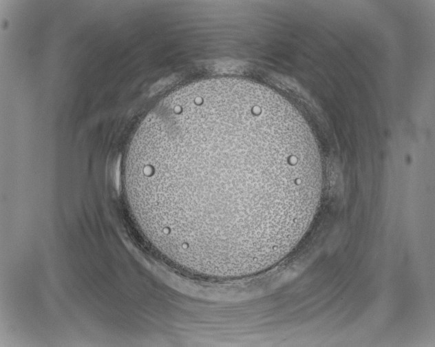 X0000081600028200702051340