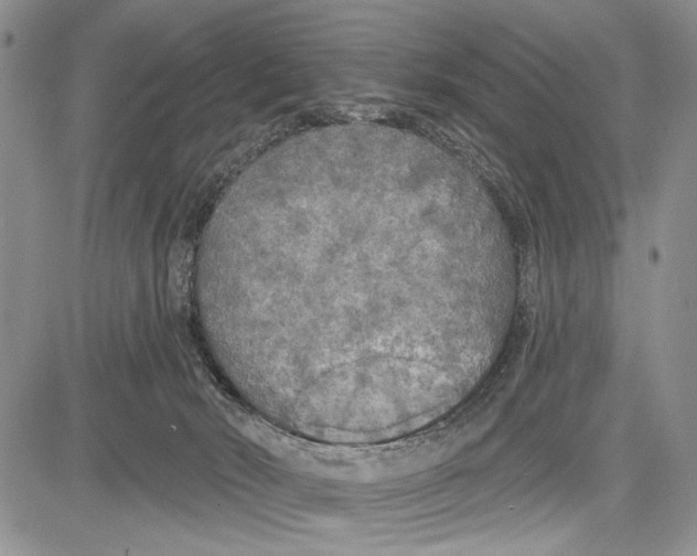 X0000081600030200702051340