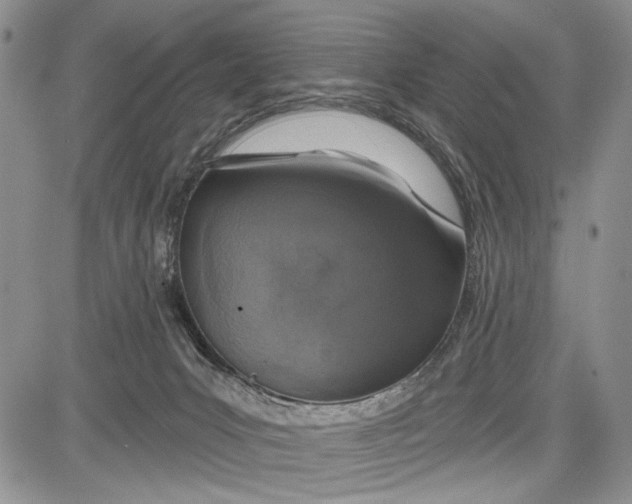 X0000081600031200702051340