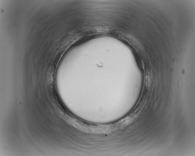 X0000081600032200702051340