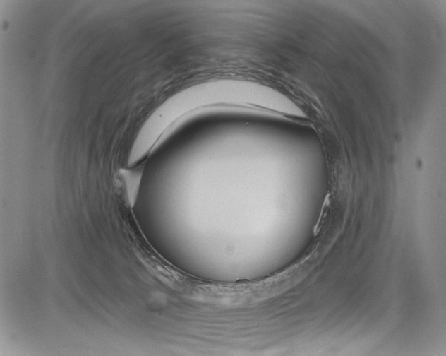 X0000081600033200702051340