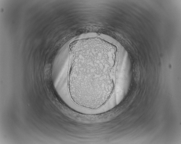 X0000081600034200702051340