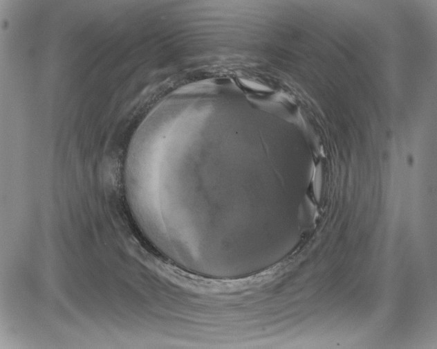 X0000081600035200702051340