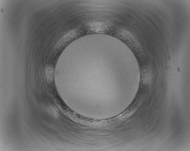 X0000081600036200702051340