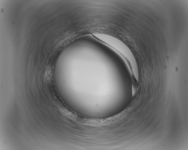 X0000081600037200702051340