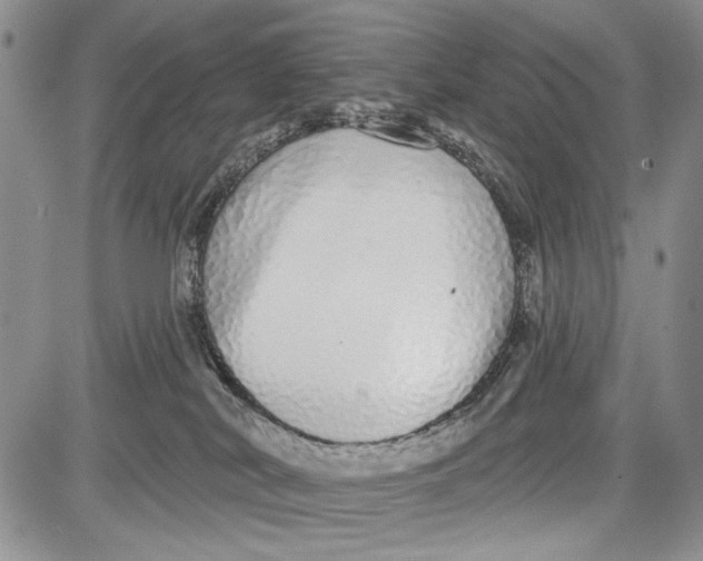 X0000081600038200702051340