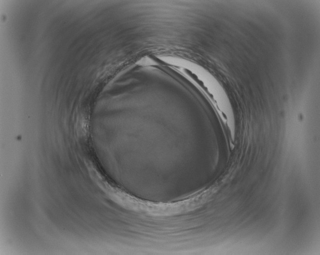 X0000081600039200702051340