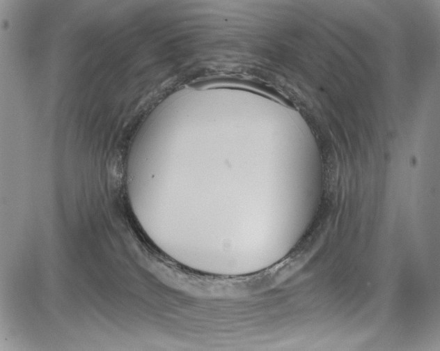 X0000081600040200702051340