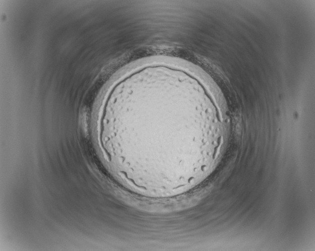 X0000081600042200702051340