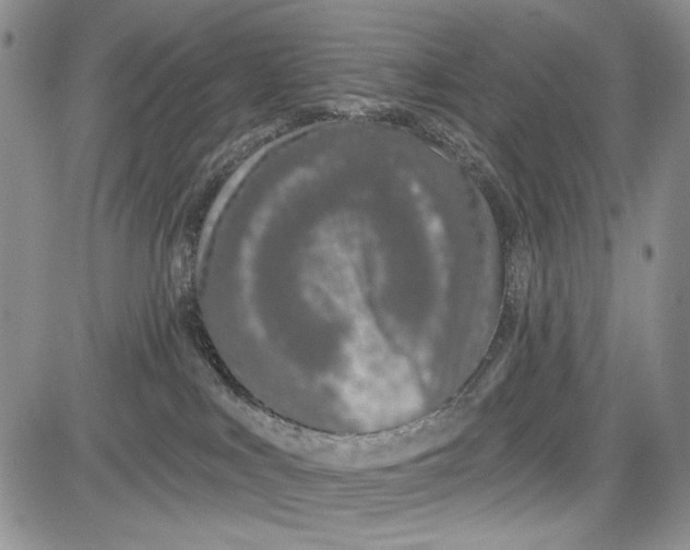 X0000081600043200702051340