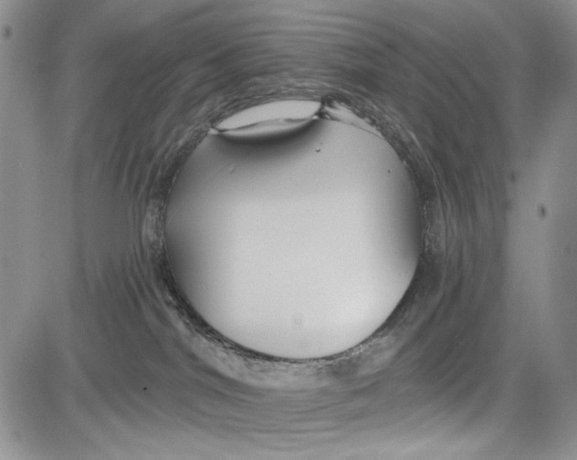 X0000081600044200702051340