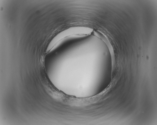 X0000081600045200702051340