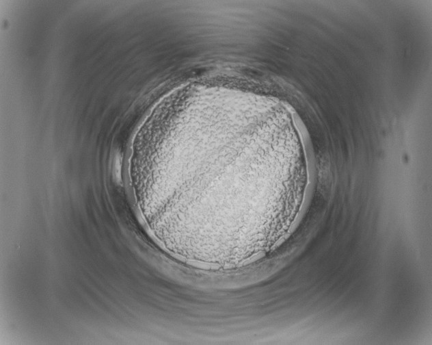 X0000081600046200702051340