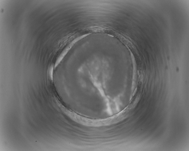 X0000081600047200702051340