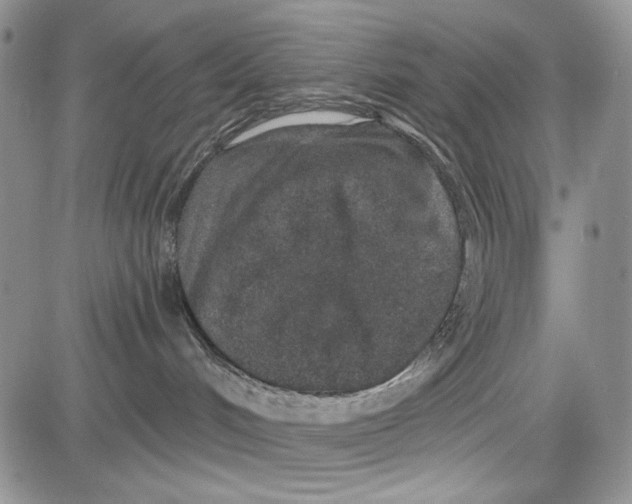 X0000081600048200702051340