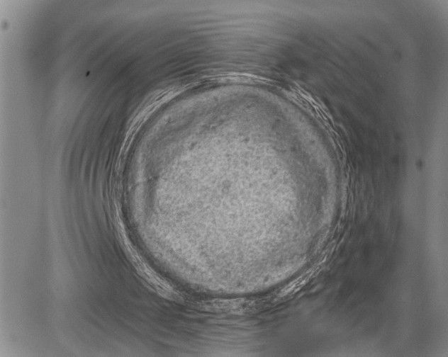 X0000081600049200702051339