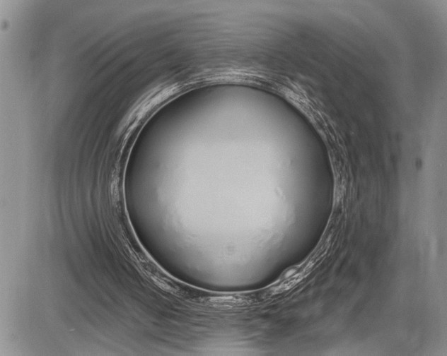 X0000081600050200702051339