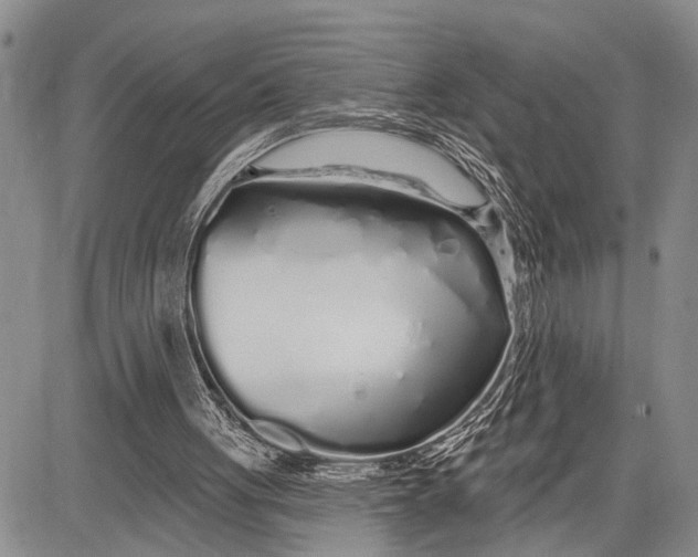 X0000081600051200702051339