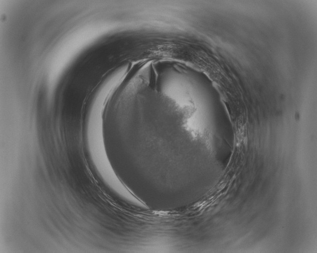 X0000081600052200702051339