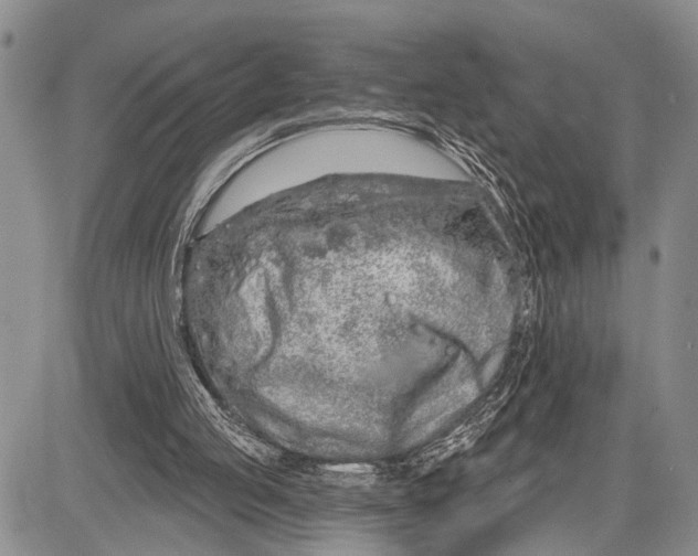 X0000081600053200702051339