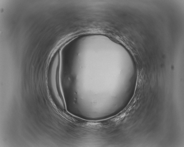 X0000081600055200702051339