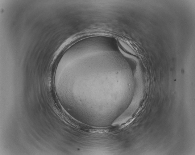 X0000081600056200702051339