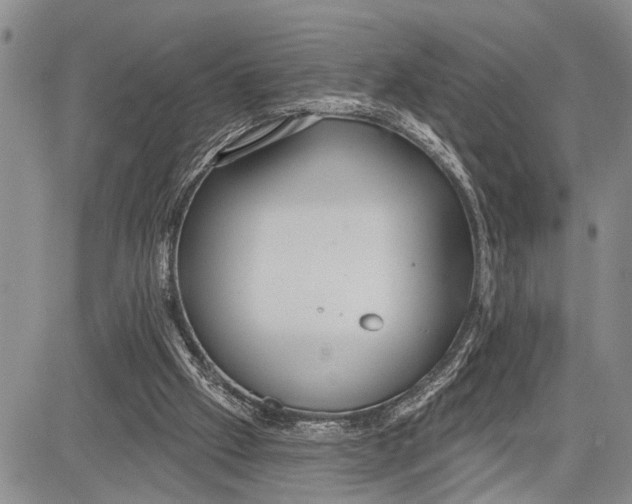 X0000081600057200702051339