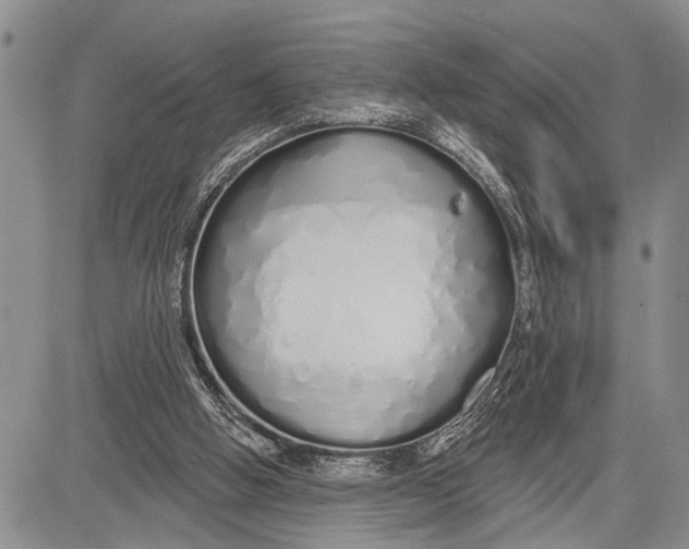 X0000081600058200702051339