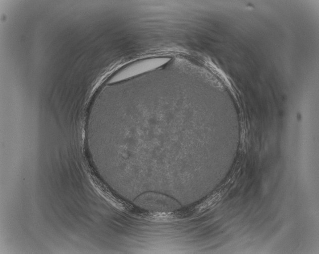 X0000081600059200702051339