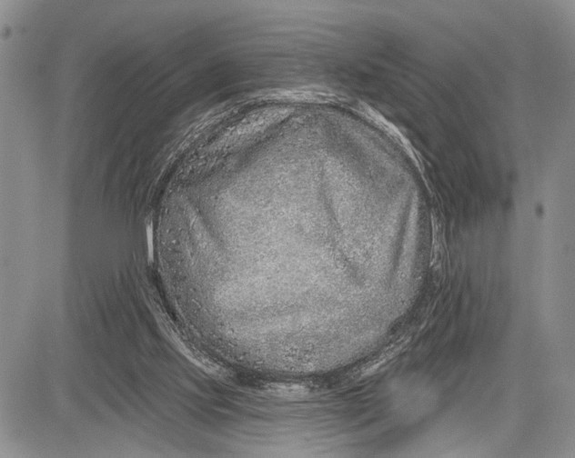 X0000081600061200702051339