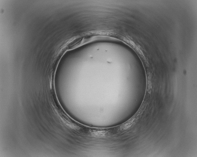 X0000081600062200702051339