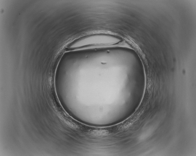 X0000081600063200702051339