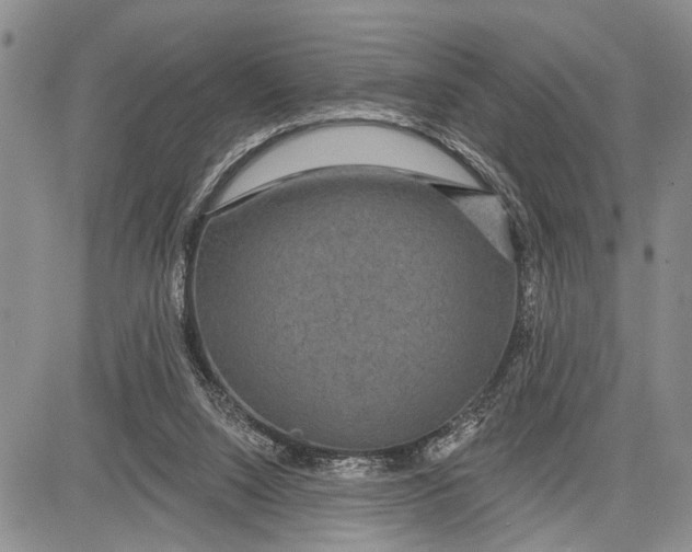 X0000081600064200702051339