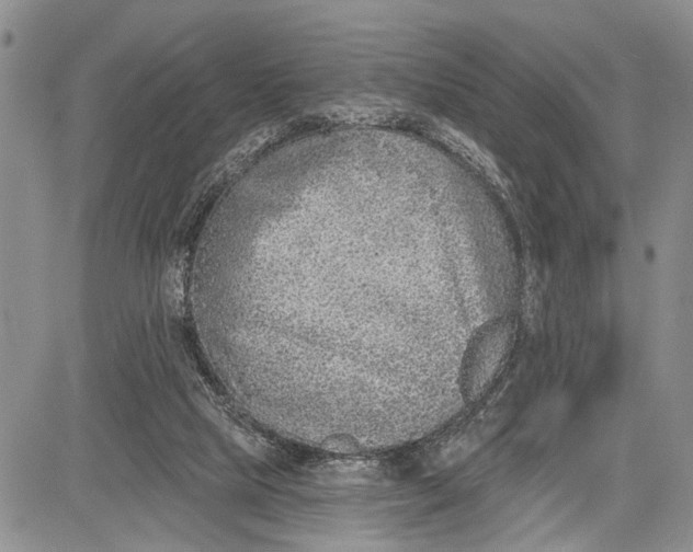 X0000081600065200702051339