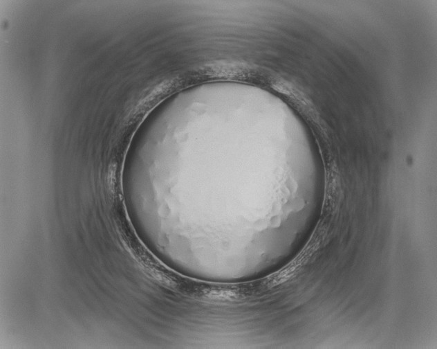 X0000081600066200702051339