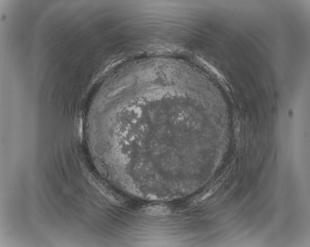 X0000081600067200702051339