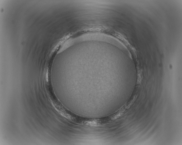 X0000081600068200702051340