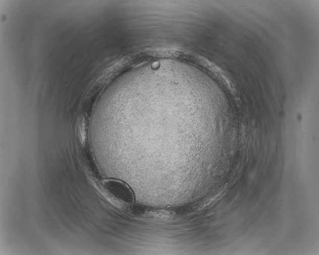 X0000081600069200702051340