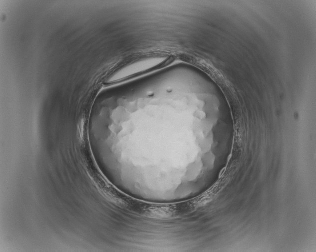 X0000081600070200702051340